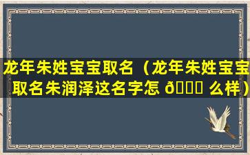 龙年朱姓宝宝取名（龙年朱姓宝宝取名朱润泽这名字怎 🐘 么样）